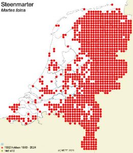 steenmarter verspreiding
